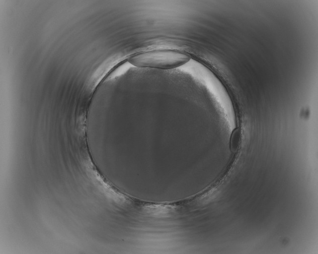 X0000111911185200908241020