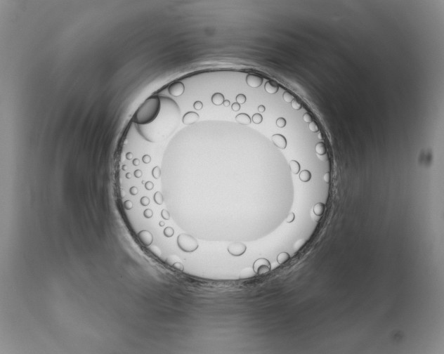 X0000111911187200908241019