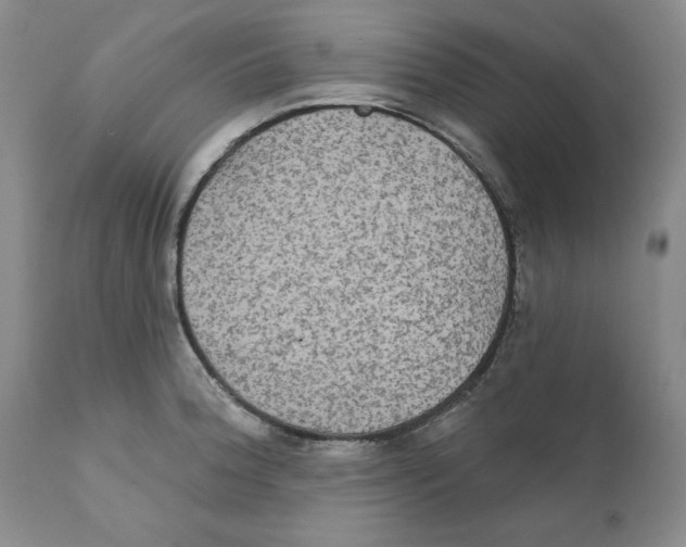 X0000111911188200908241019