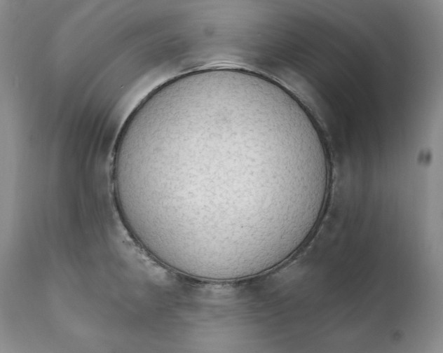 X0000111911190200908241019