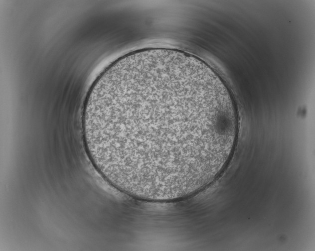 X0000111911192200908241019