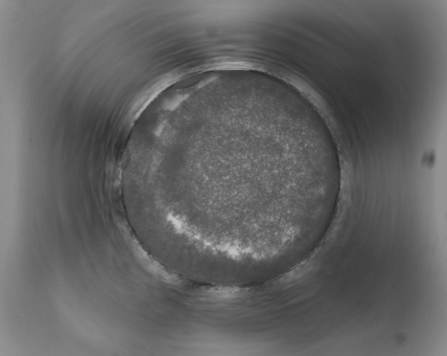 X0000111911193200908241019