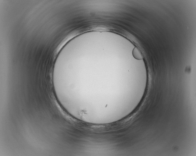 X0000111911194200908241019