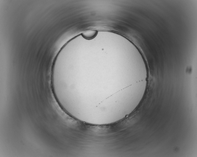 X0000111911195200908241019