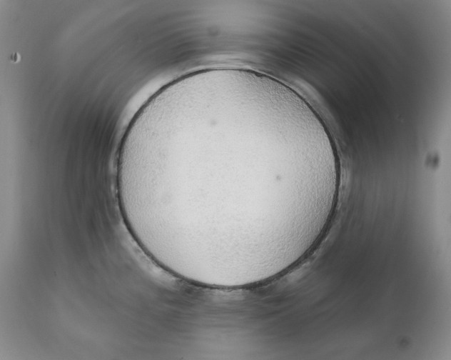 X0000111911196200908241019