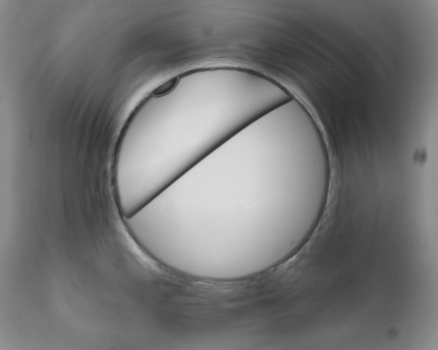 X0000111911197200908241019