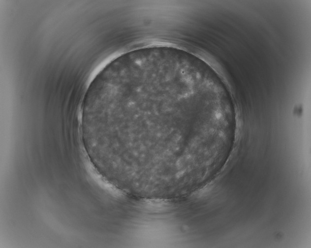 X0000111911198200908241019