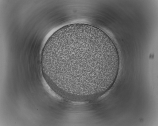 X0000111911200200908241019
