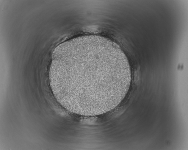 X0000111911201200908241019