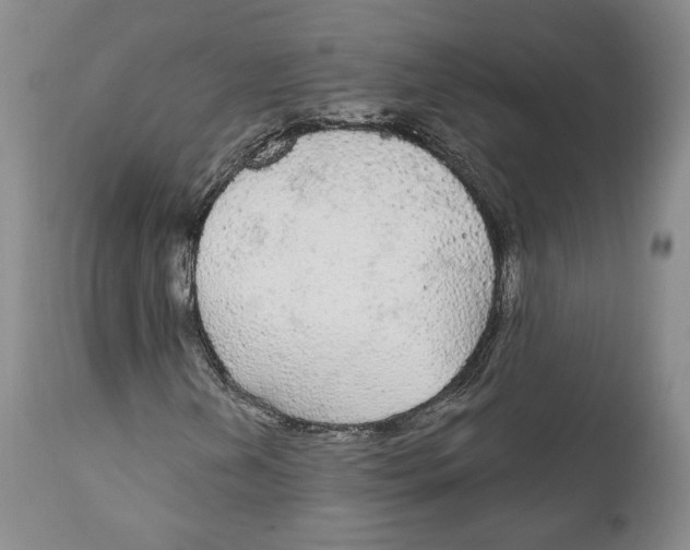 X0000111911202200908241019