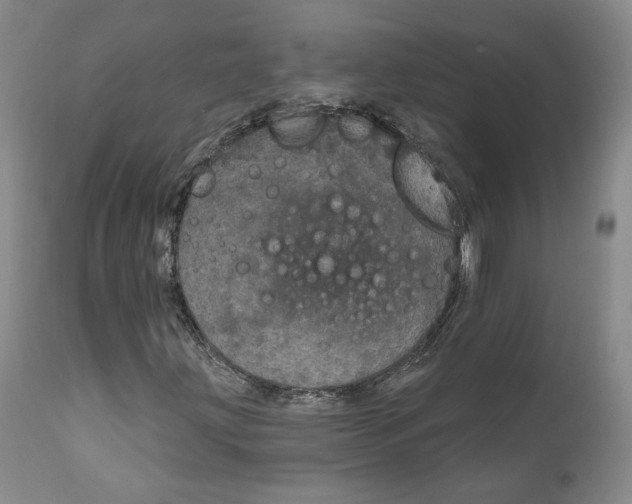 X0000111911203200908241019