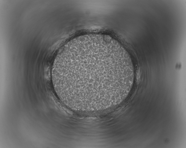X0000111911204200908241019