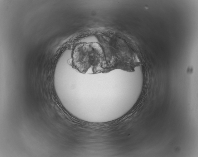 X0000111911205200908241019