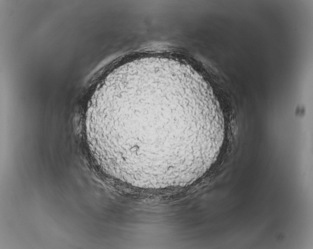 X0000111911206200908241019
