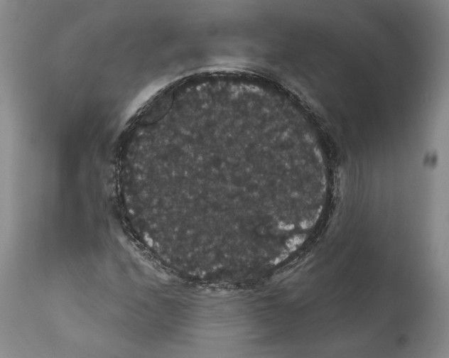 X0000111911208200908241019