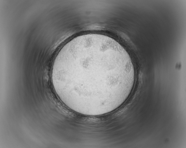 X0000111911209200908241019