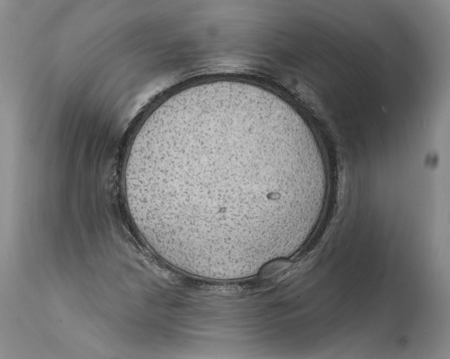 X0000111911210200908241019