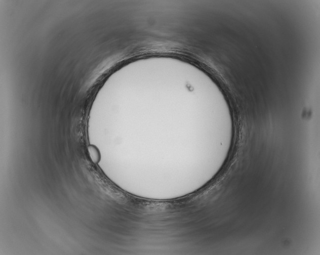 X0000111911211200908241019