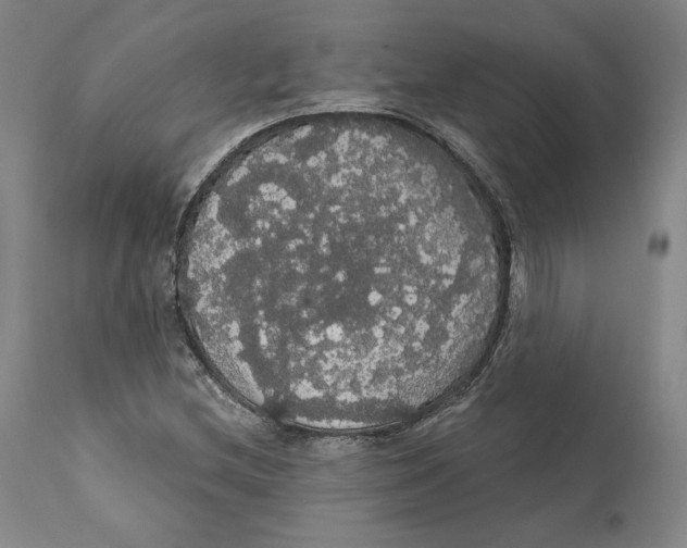 X0000111911212200908241019