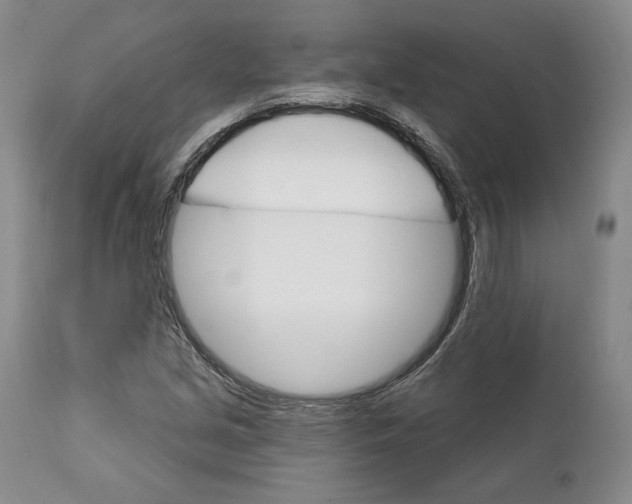 X0000111911213200908241019