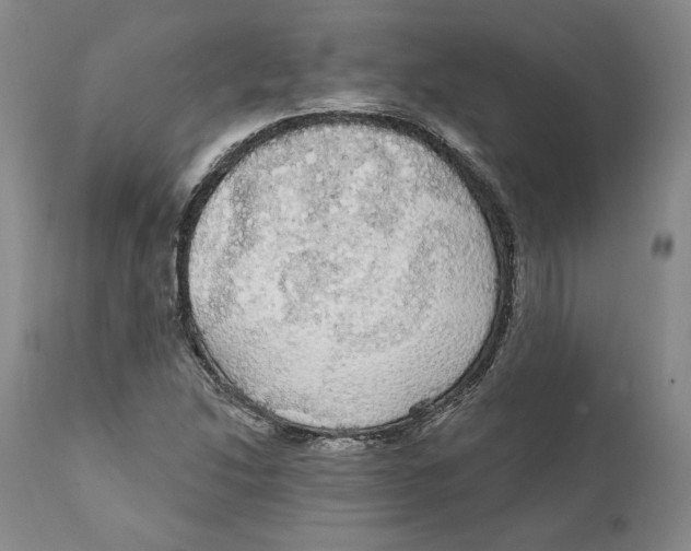 X0000111911214200908241019