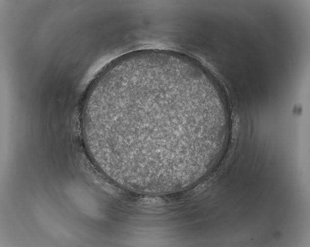 X0000111911215200908241019