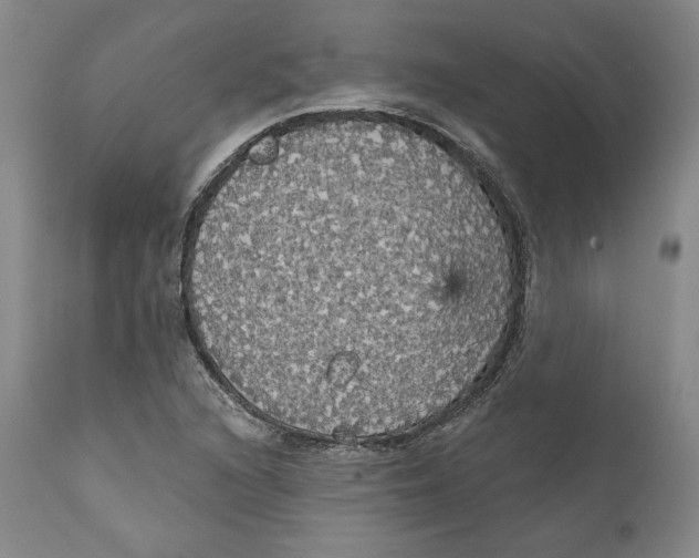 X0000111911216200908241019