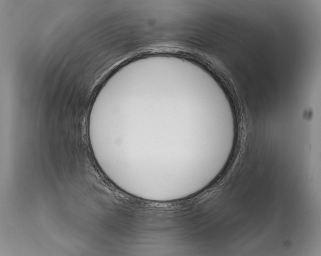 X0000111911217200908241019