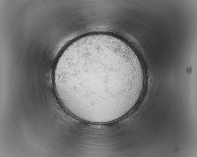 X0000111911218200908241019