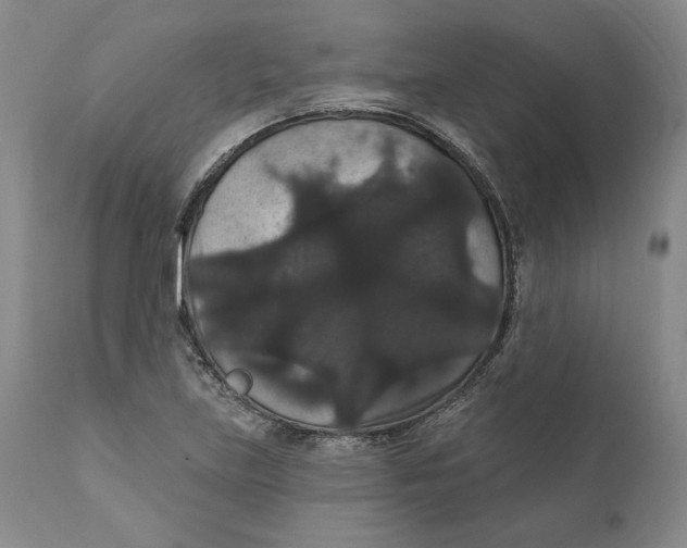 X0000111911219200908241019