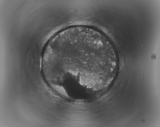 X0000111911221200908241019