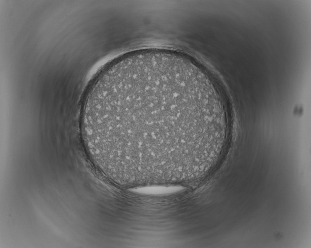 X0000111911222200908241019