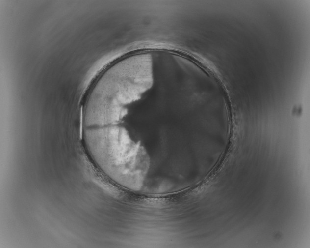 X0000111911223200908241019