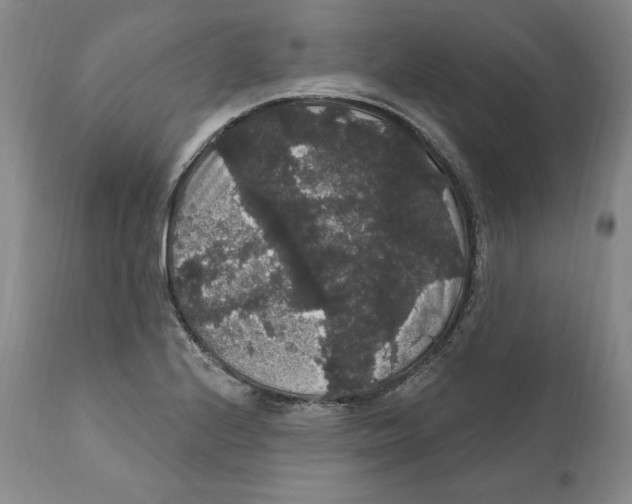 X0000111911224200908241019