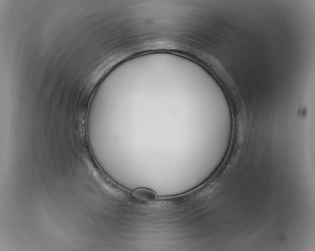 X0000111911225200908241019