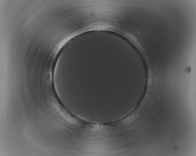 X0000111911226200908241019