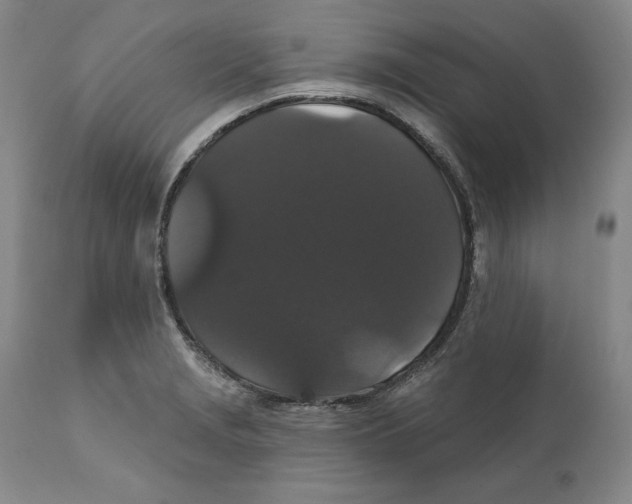 X0000111911229200908241019