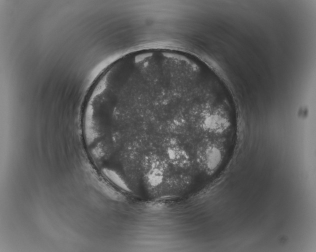 X0000111911230200908241019