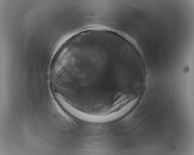 X0000111911231200908241019