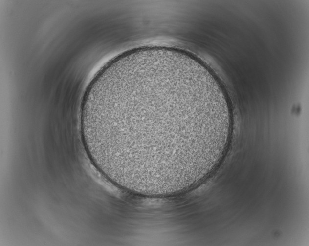 X0000111911232200908241019
