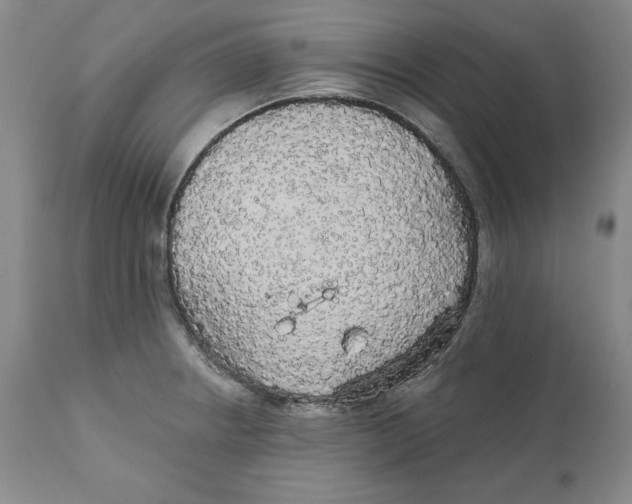 X0000111911234200908241019