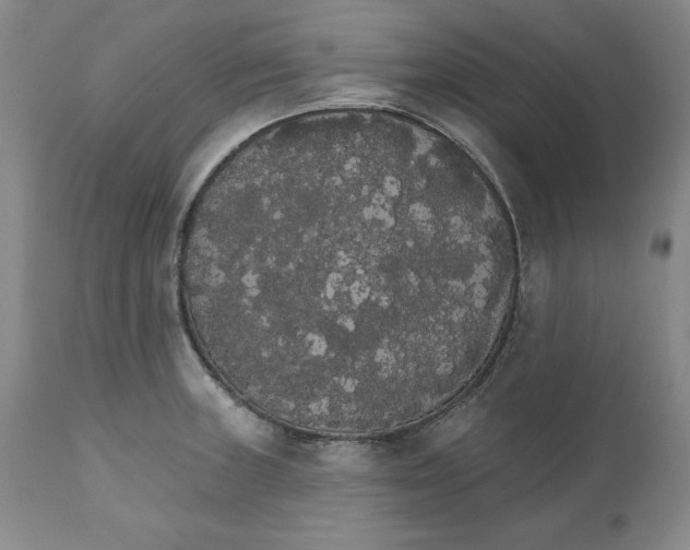 X0000111911235200908241019