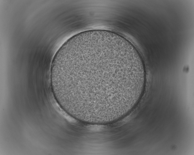 X0000111911236200908241019