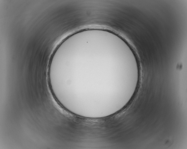 X0000111911237200908241019