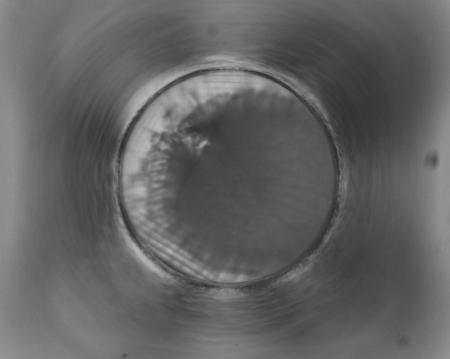 X0000111911239200908241019
