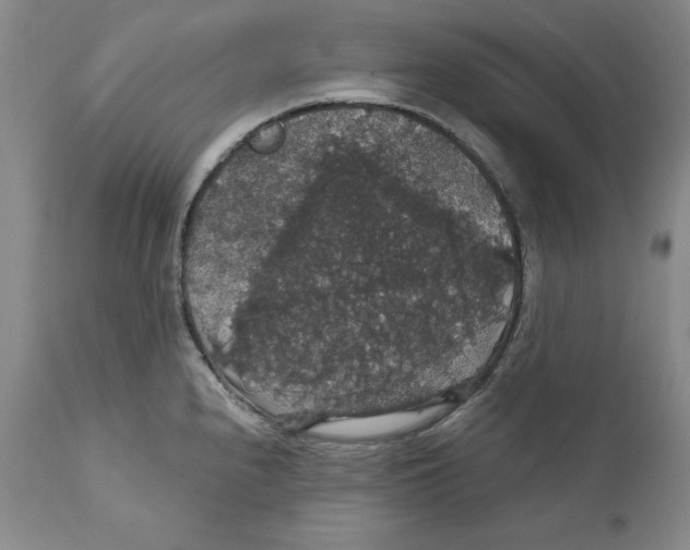 X0000111911240200908241019