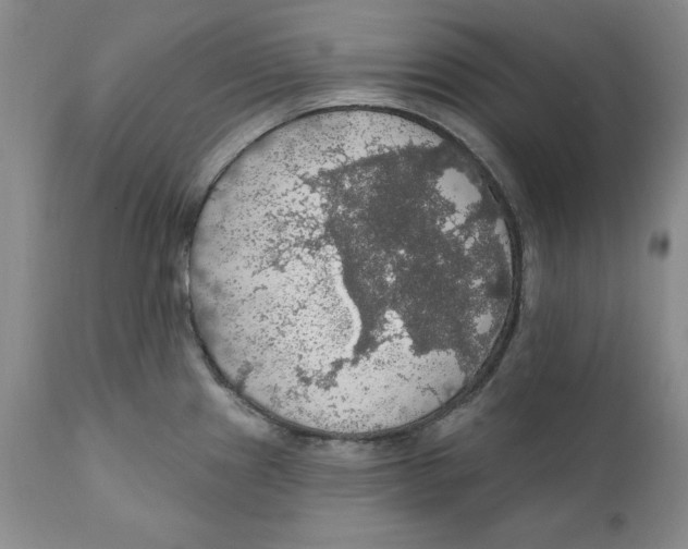 X0000111911241200908241019