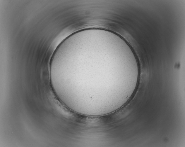 X0000111911242200908241019