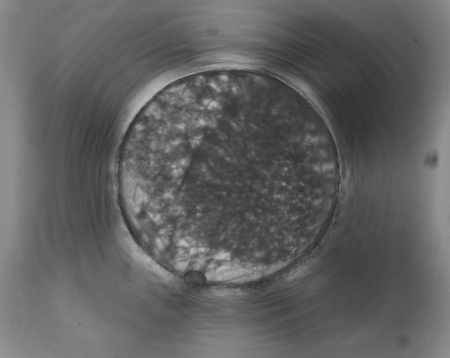 X0000111911243200908241019