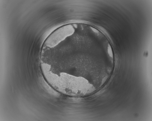 X0000111911244200908241019